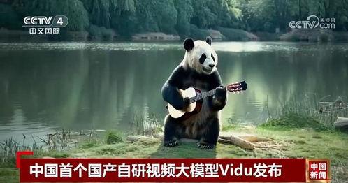 亚洲视频国产自,探索本土影视创作的无限魅力